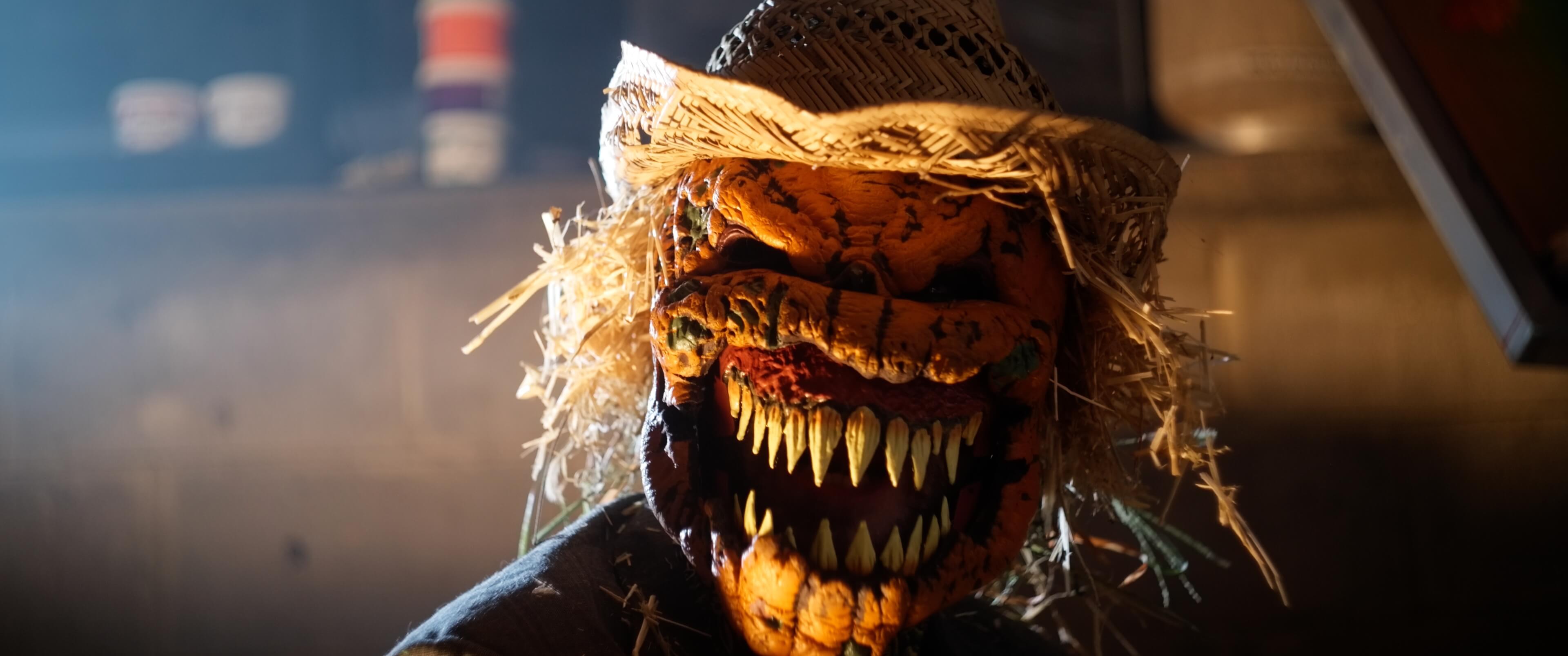 Mr. Vala's Pumpkin Patch